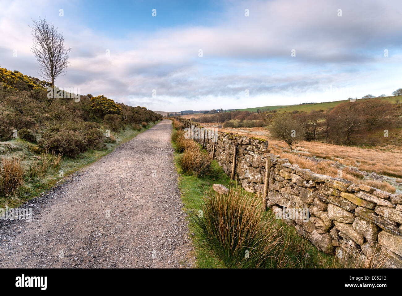 A country lane on Dartmoor National Park in Devon Stock Photo
