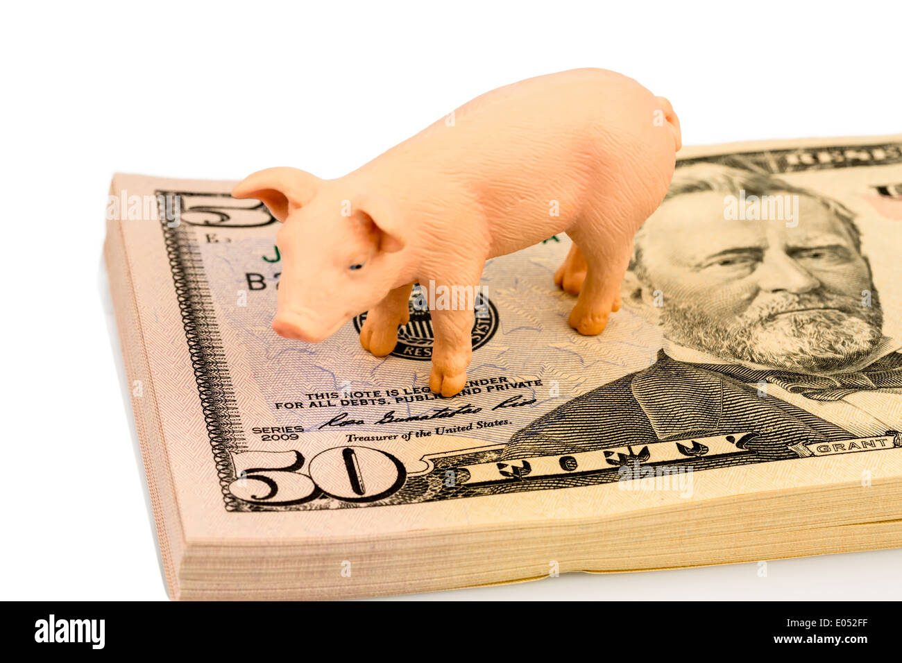 A pig stands on dollar of bank notes. Rising costs for feed in the agriculture. Sinking yields with the pork, Stock Photo