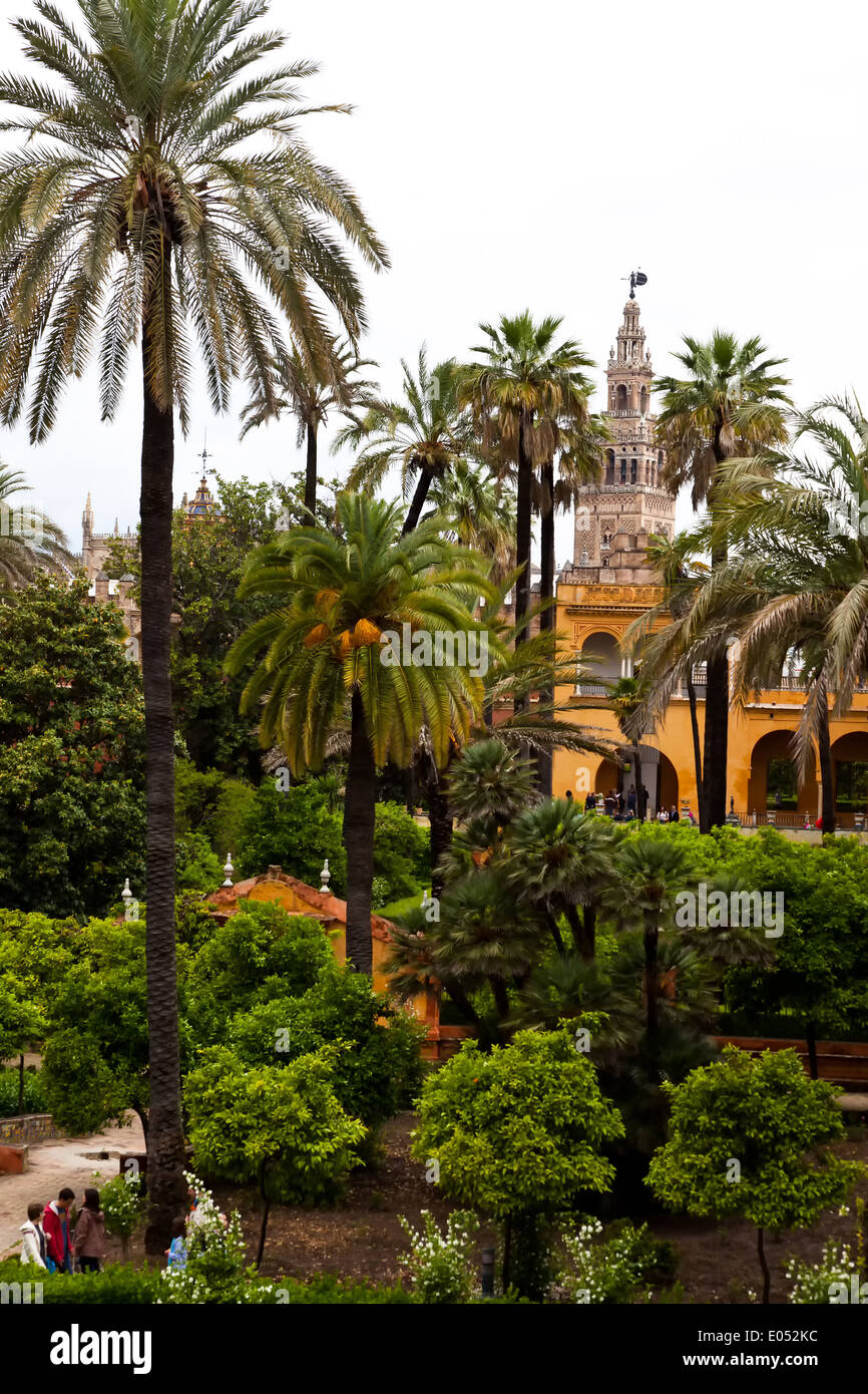 Spain, Andalusia. The Alcazar in Seville is one of the landmarks of the town, Spanien, Andalusien. Der Alcazar in Sevilla ist ei Stock Photo