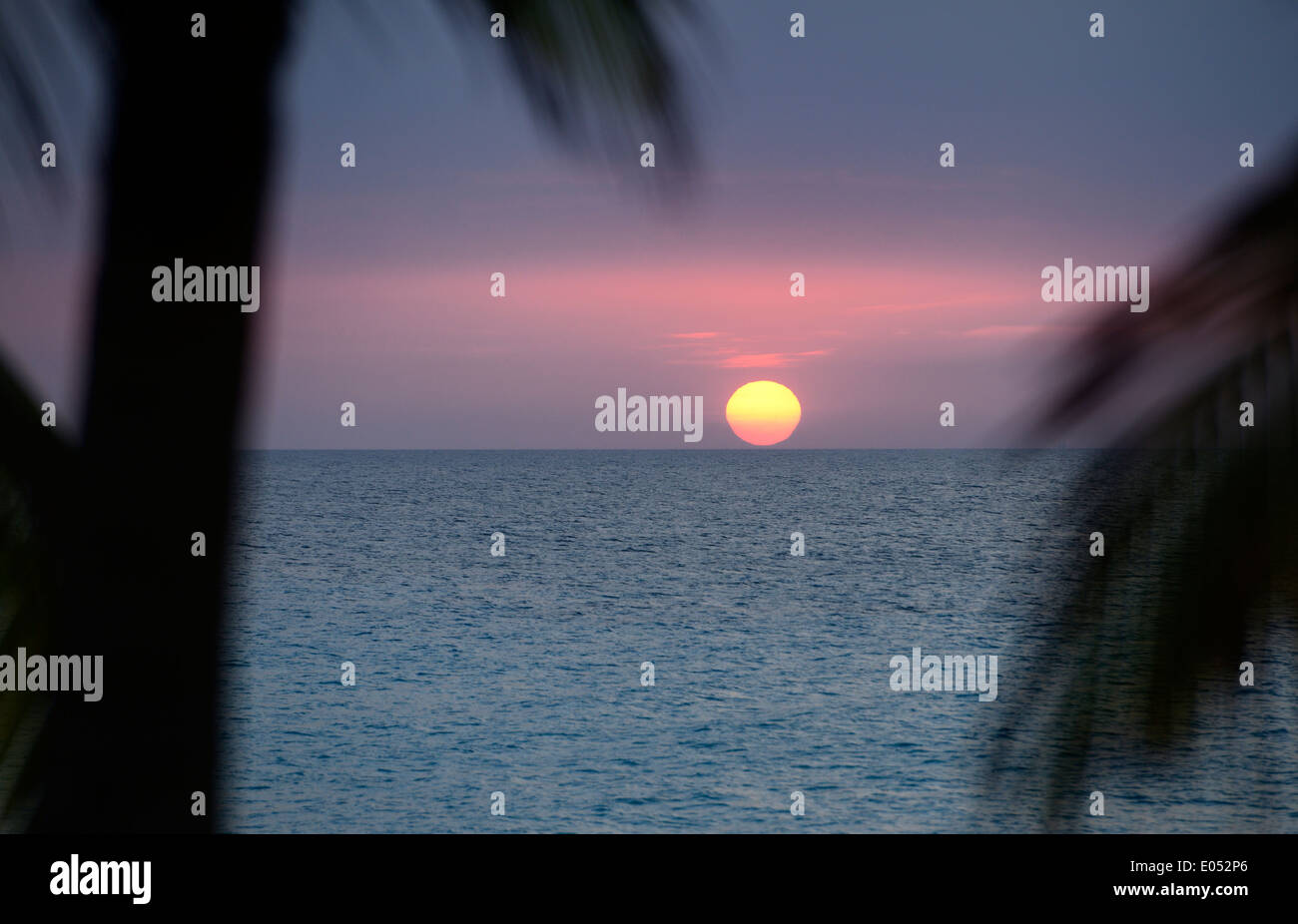 Red ball sunset just about to touch horizon over the Atlantic Ocean in Varadero Cuba with palm trees Stock Photo