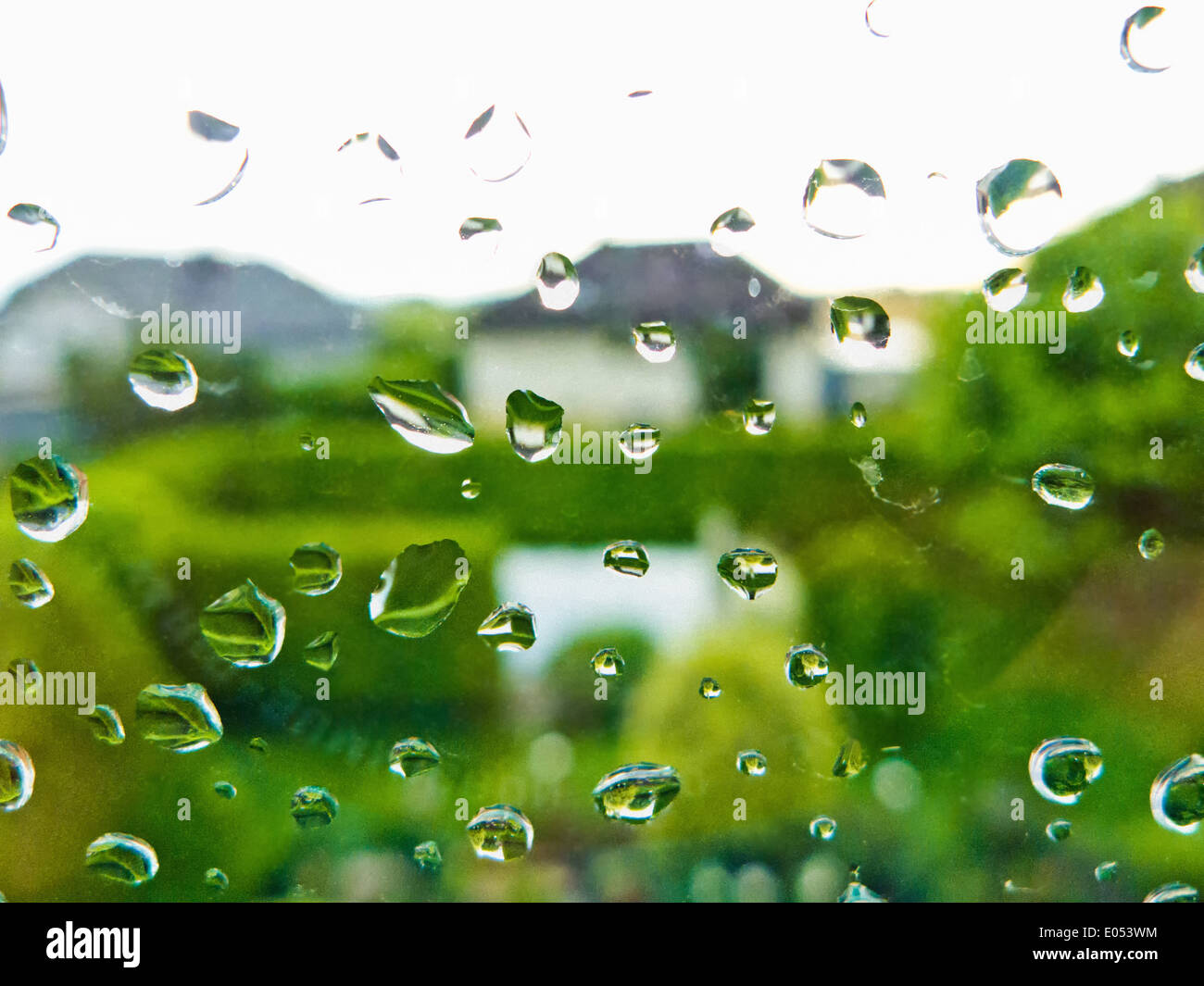 Many raindrops in bad weather on a window pane. Rain weather, Viele Regentropfen bei Schlechtwetter auf einer Fensterscheibe. Re Stock Photo