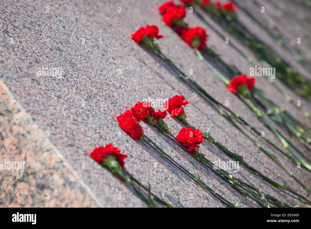 Red carnations lie on granite of monument to soldiers Stock Photo - Alamy