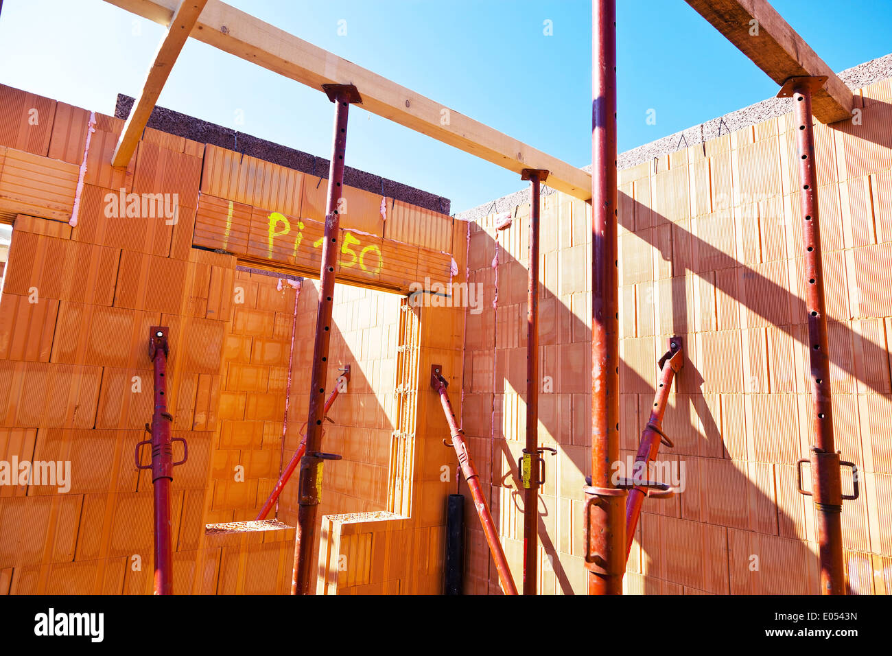 Massive shell hi-res stock photography and images - Alamy