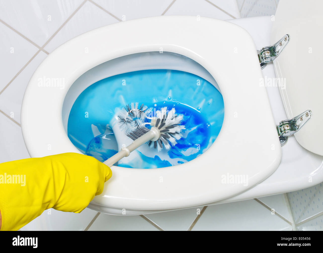 Toilet loo WC toilets toilet loo set toilet cleaning cleaning clean cleanly at home cleaning materials cleaning day spring-clean Stock Photo