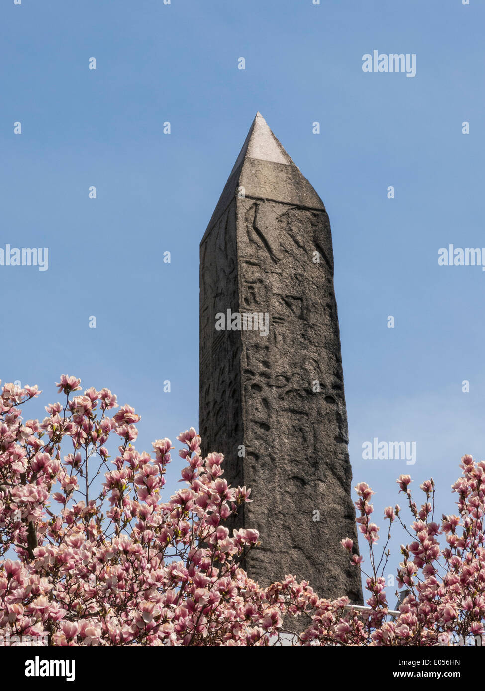 Cleopatra S Needle Obelisk Central Park Nyc Usa Stock Photo Alamy