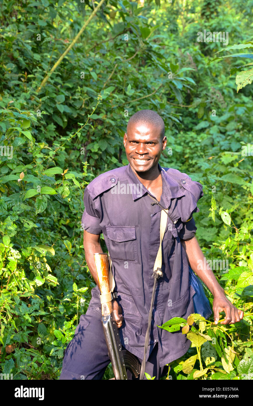 a armed ranger during a trekking to find gorilla's in bwindi national park, Uganda Stock Photo