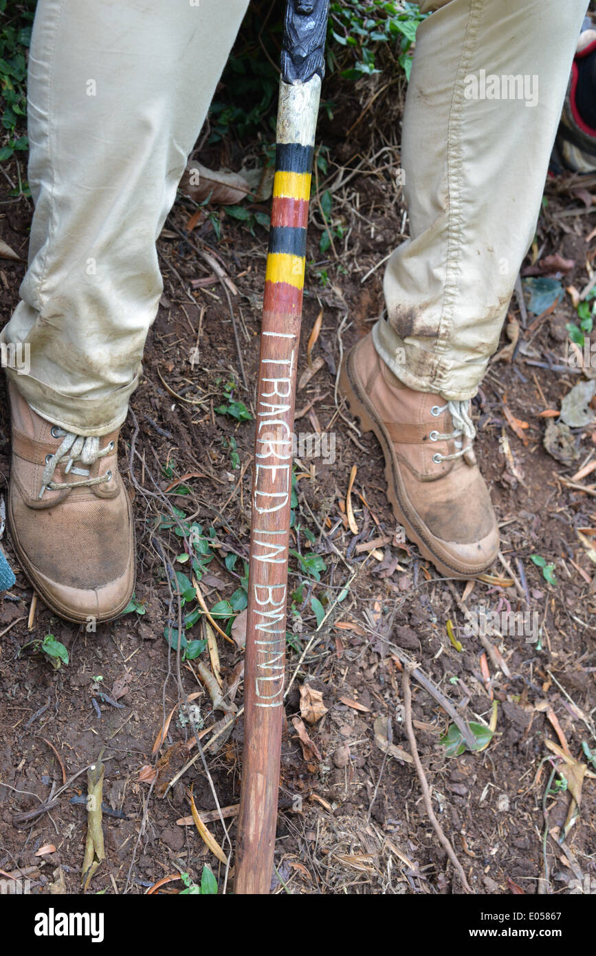 a tourist with walking stick on trekking to find gorilla's in bwindi national park, Uganda Stock Photo