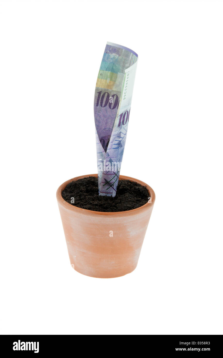 A franc bank note in flowerpot. Symbol interest, growth., Ein Franken-Geldschein in Blumentopf. Symbol Zinsen, Wachstum. Stock Photo