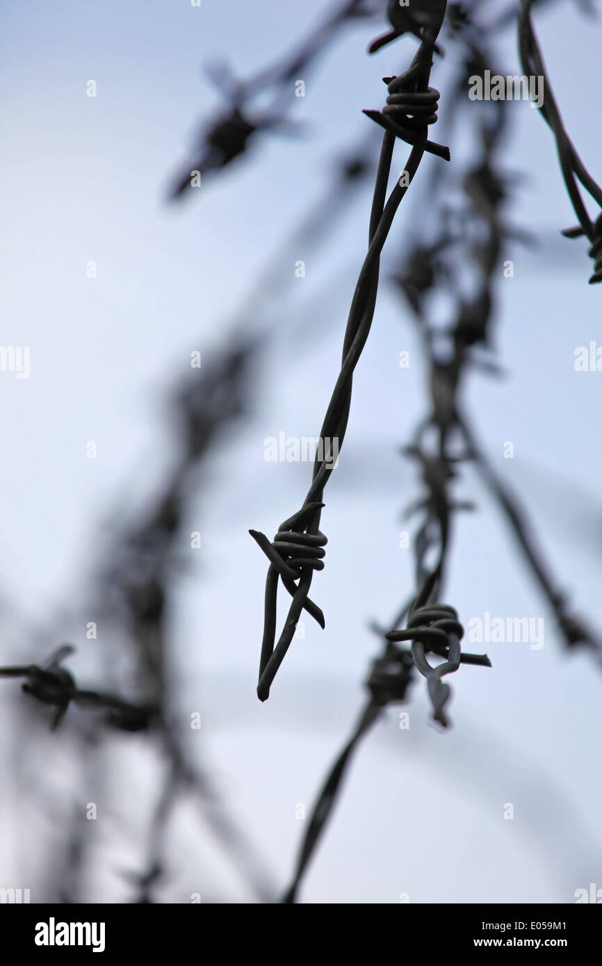 Stacheldraht bei einem zaun hires stock photography and images Alamy