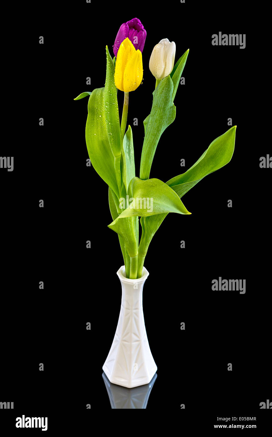 Three tulips in a vase Stock Photo Alamy