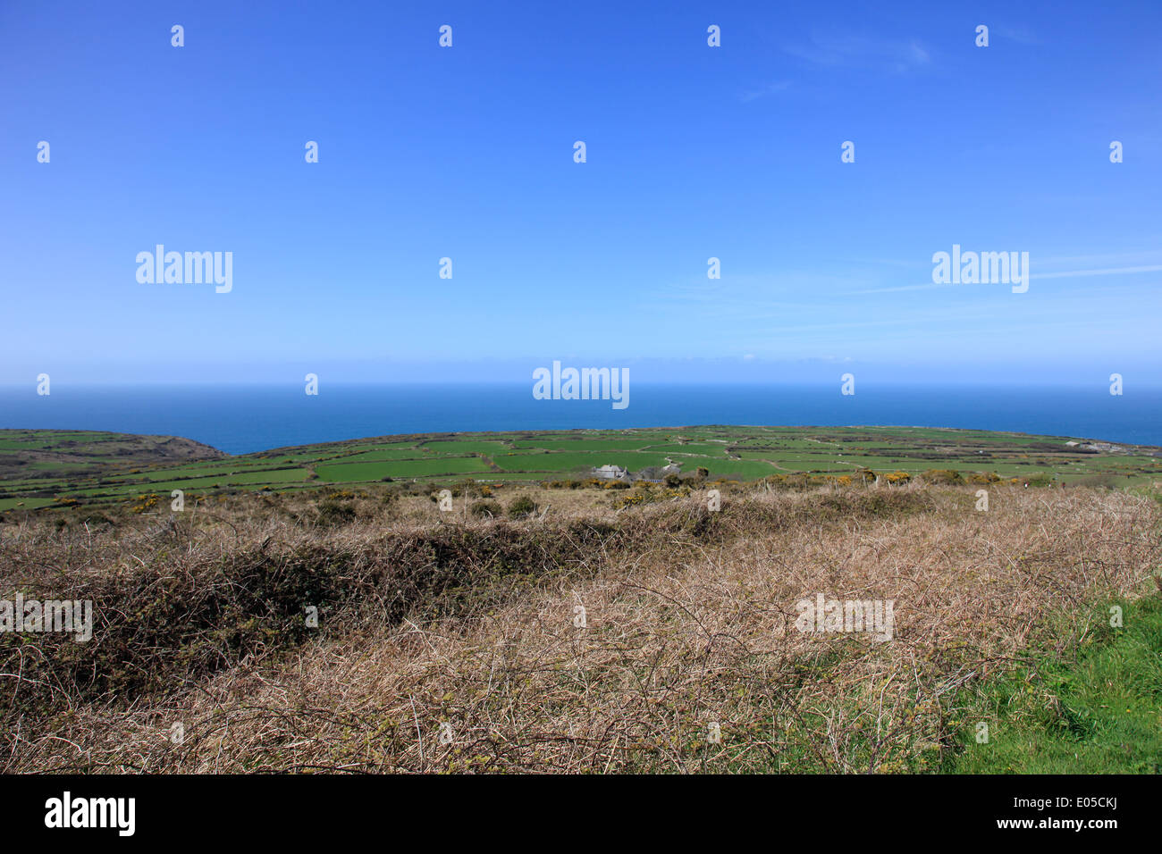 Coastal Farmland and Atlantic Ocean Cornwall England Stock Photo Alamy