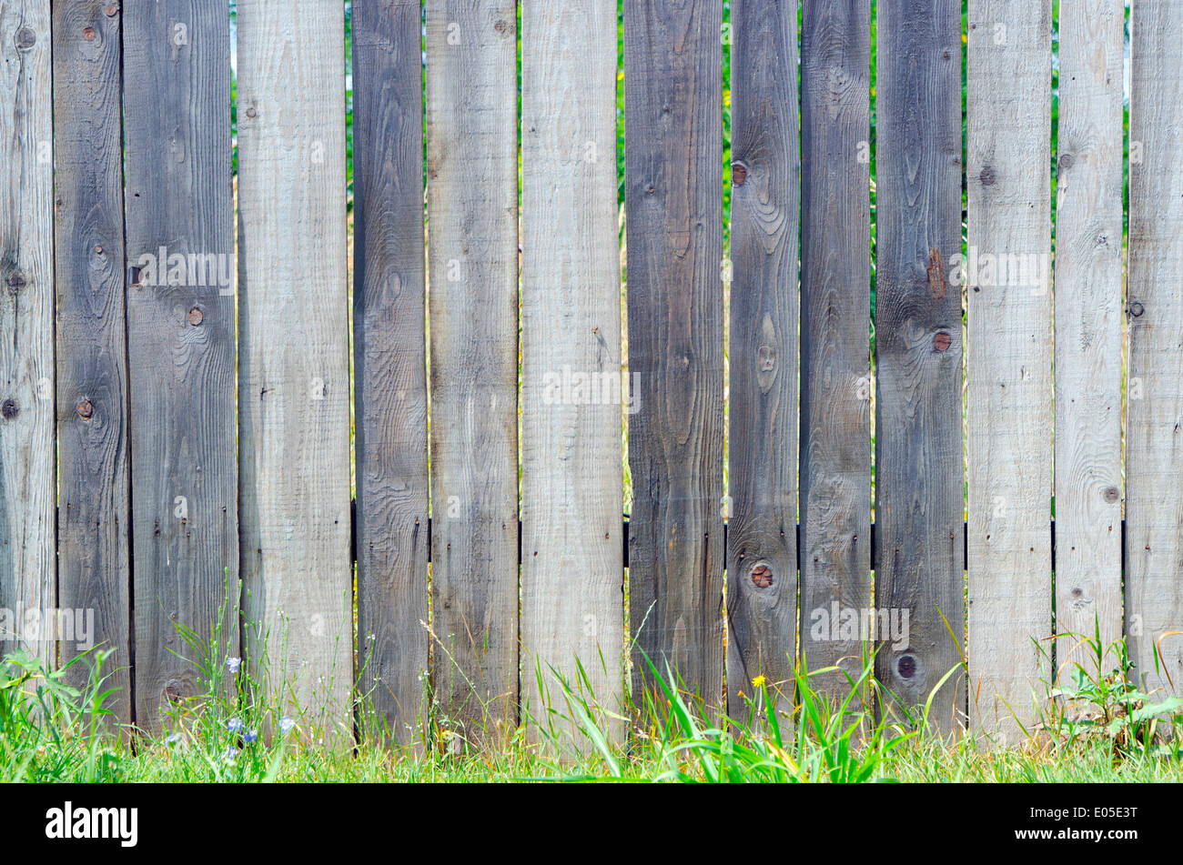 Old wooden fence in garden with plant Stock Photo - Alamy