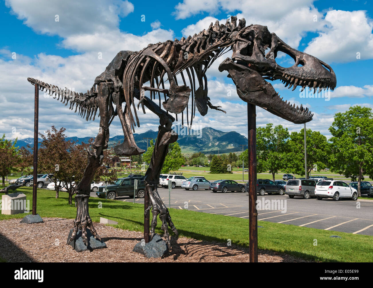 Montana, Bozeman, Museum of the Rockies, Dinosaur Exhibit Stock Photo