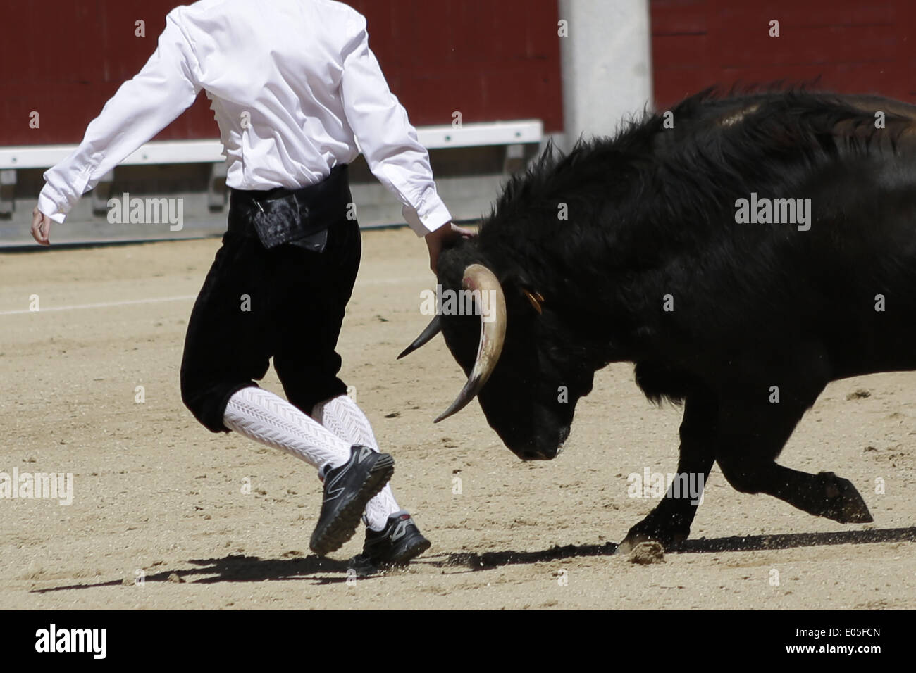 В испании главный участник. Испания легион. В испании главный участник. San fermin праздник в испании. Испания люди.