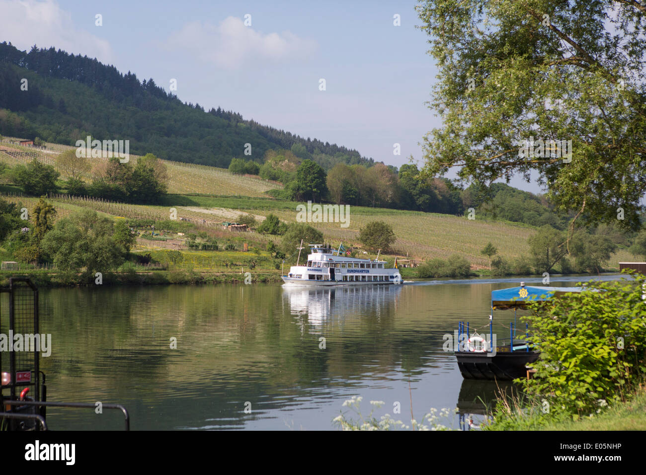sightseeing boat on the mosel near Zell am Mosel Stock Photo