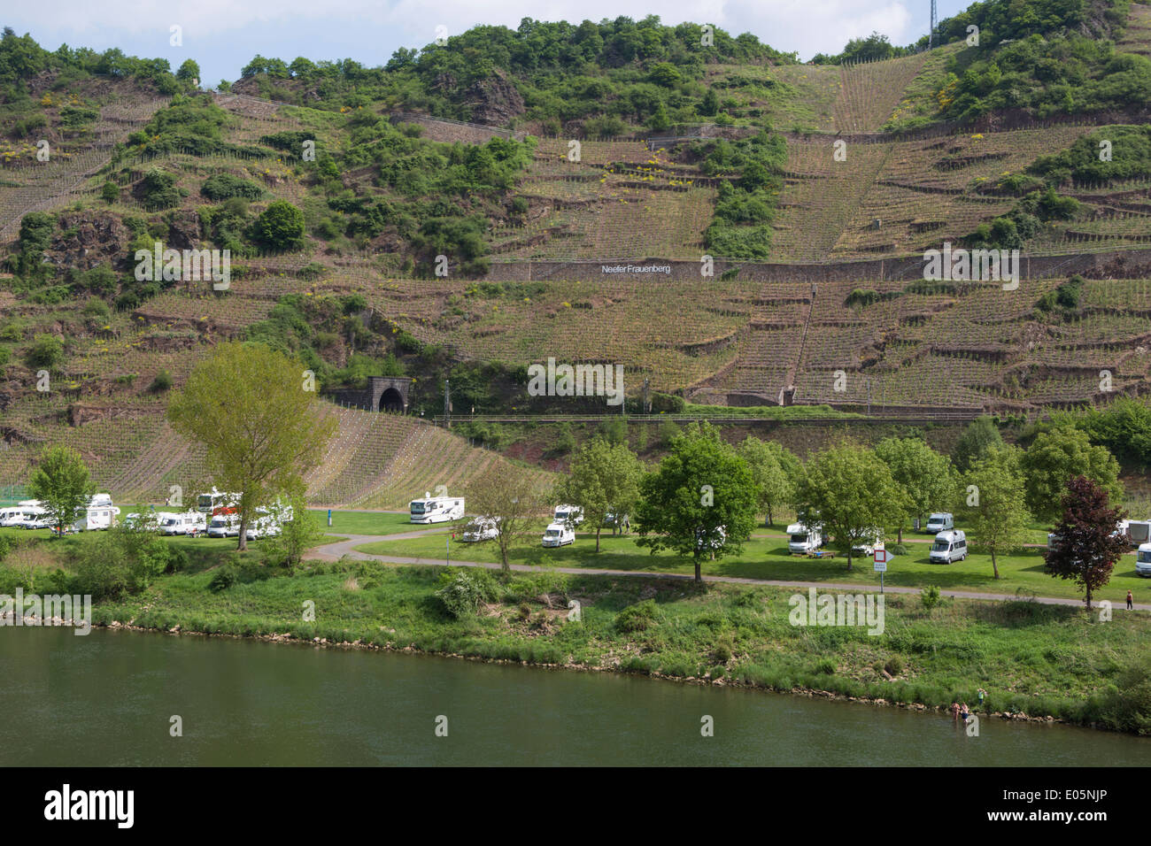 Campers at a camping along the Mosel with vineyards in the background Stock Photo