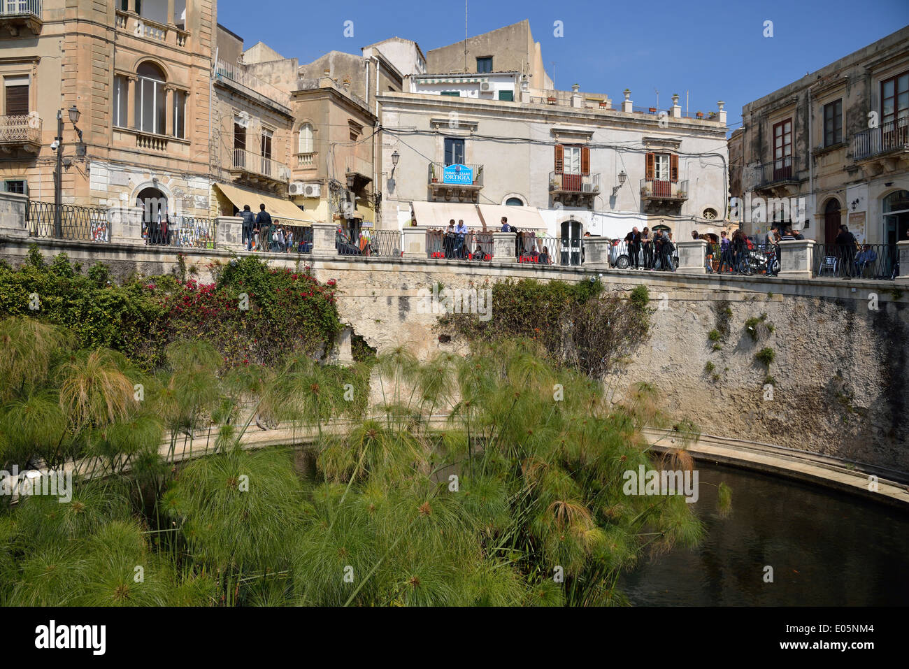 Arethuse fountain, Ortygia, Syracuse, Province of Syracuse, Sicily, Italy Stock Photo
