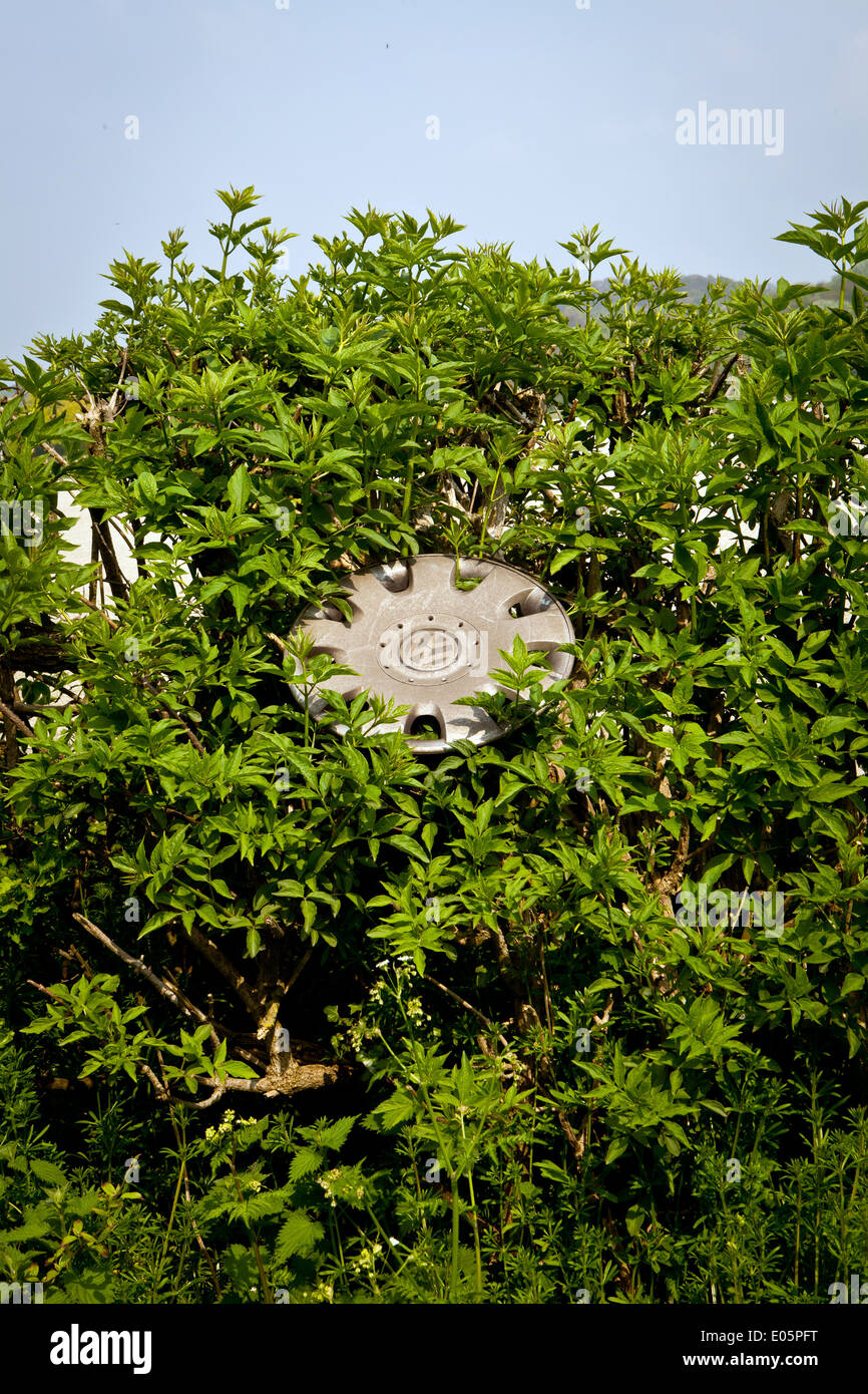 Lost hubcap in roadside bush. Stock Photo