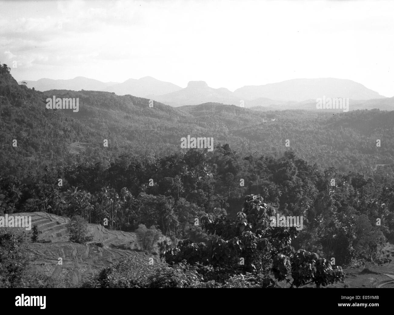 Ceylon (Sri Lanka Stock Photo - Alamy