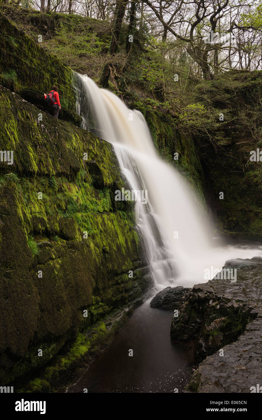 Person stands near Sgwd Clun-Gwyn Waterfall - Afon Mellte river, near Ystradfellte, Brecon Beacons national park, Wales Stock Photo
