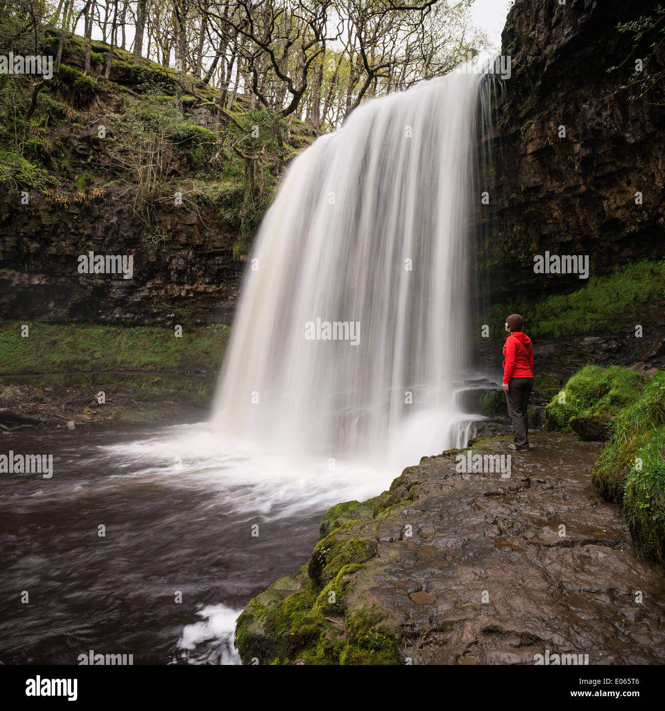 Female hiker stands near Sgwd yr Eira Waterfall - River Hepste, near Ystradfellte, Brecon Beacons national park, Wales Stock Photo
