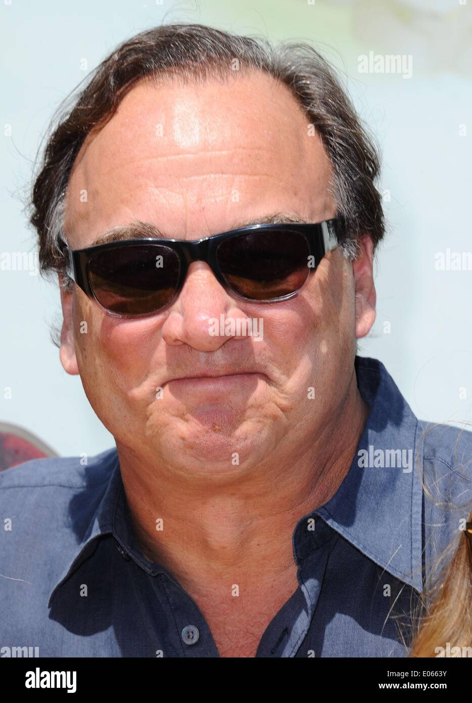 Los Angeles, CA, USA. 3rd May, 2014. Jim Belushi at arrivals for