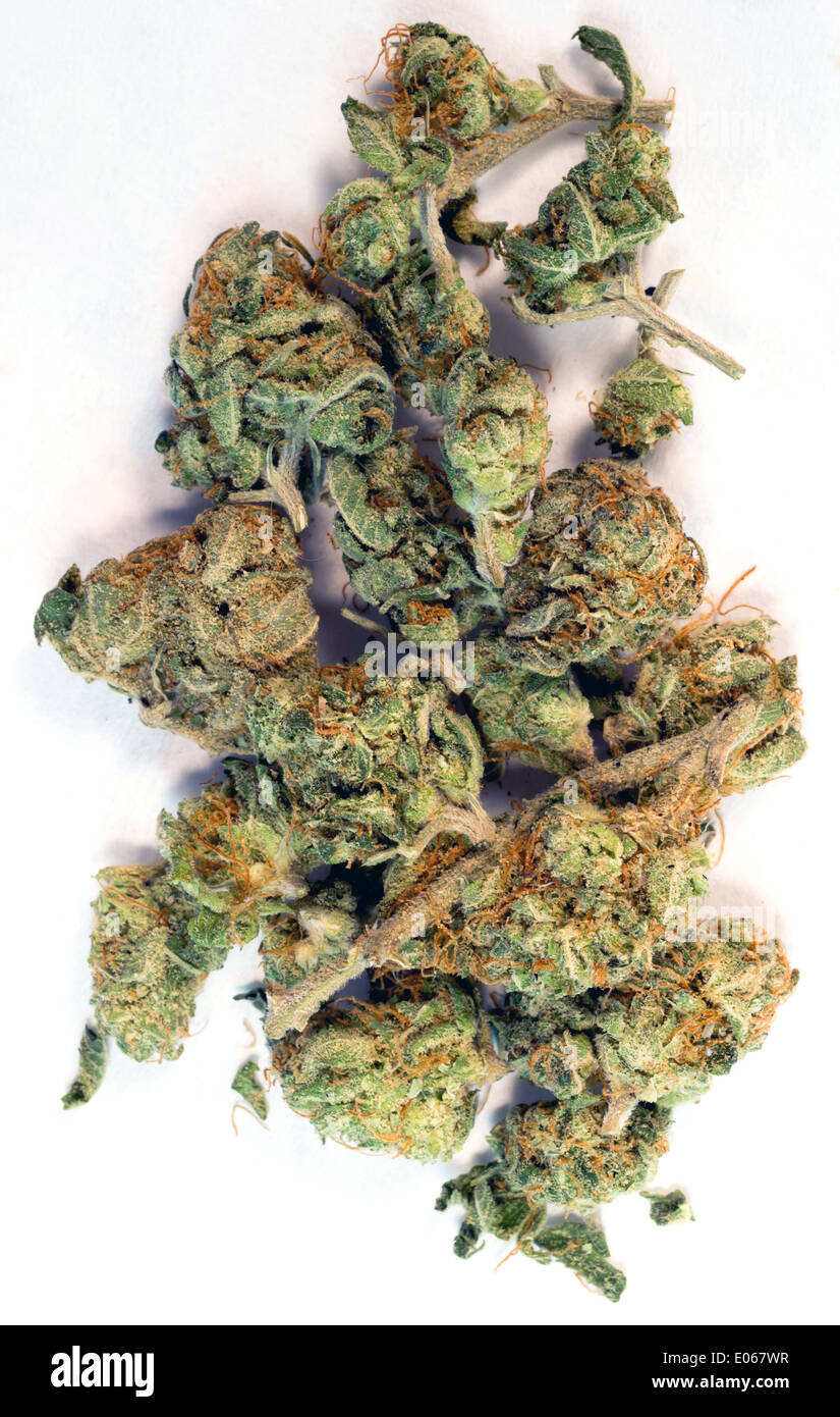 a small amount of legal Marijuana on white Stock Photo