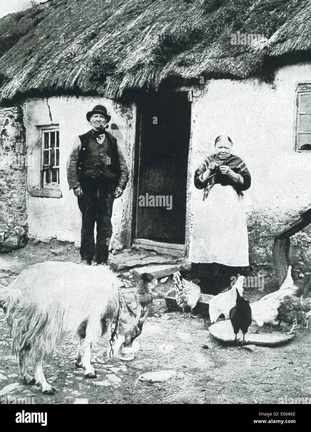 An older man and woman stand outside their home, with the goat and chickens, in Ireland in 1909. Stock Photo