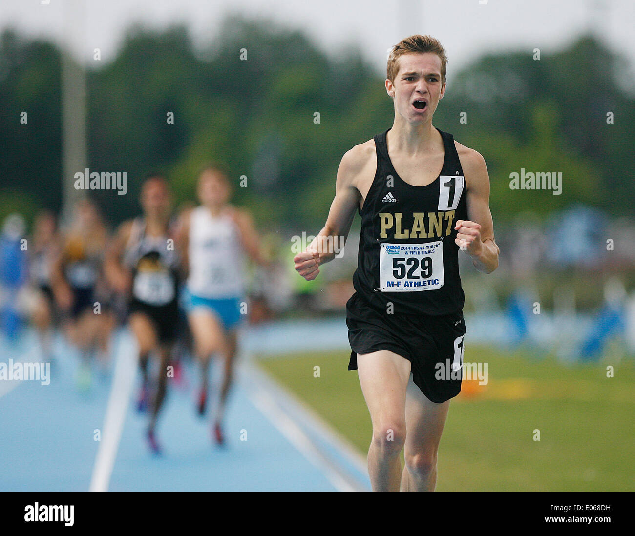 University of florida track and field stadium hires stock photography