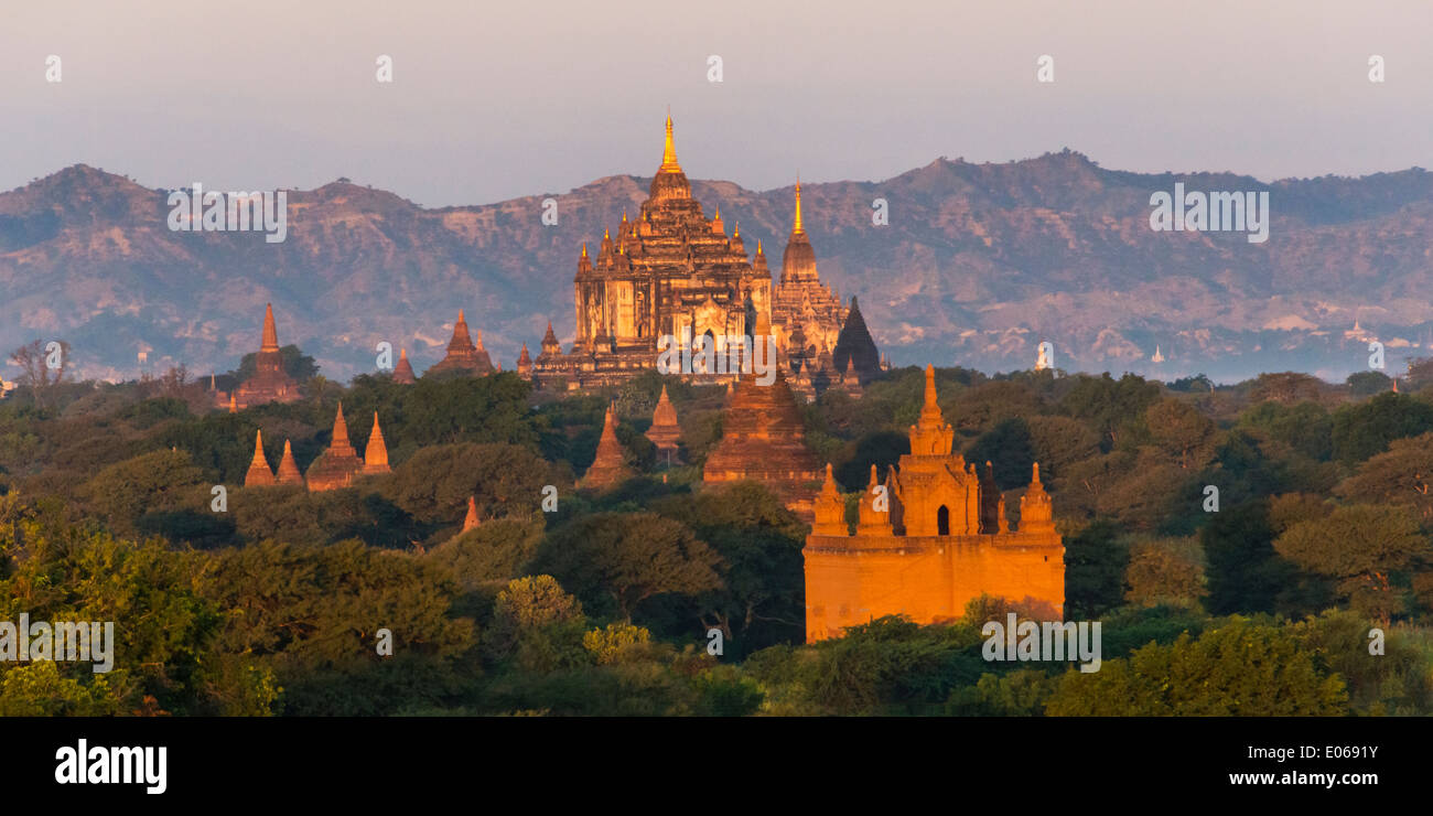 Temples and pagodas in the jungle at sunrise, Bagan, Myanmar Stock Photo