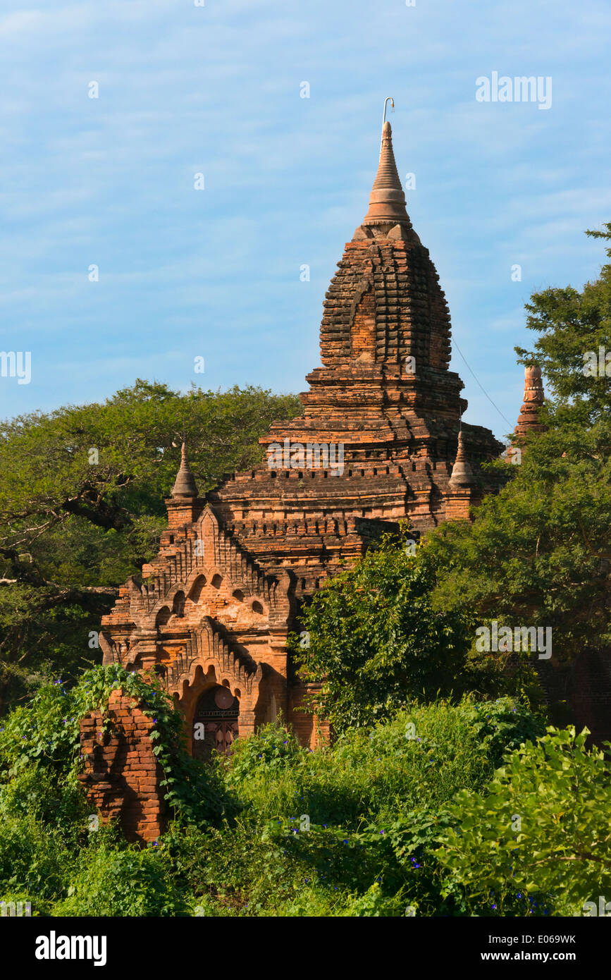 Ancient temple and pagoda in the jungle, Bagan, Myanmar Stock Photo