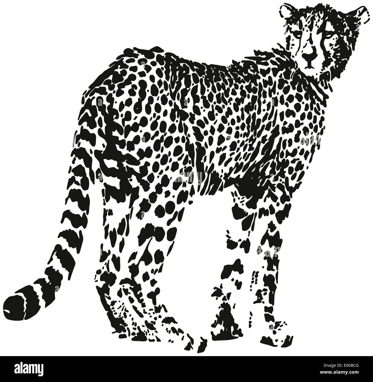 Leopard big cat shaped from black spots optical illusion Stock