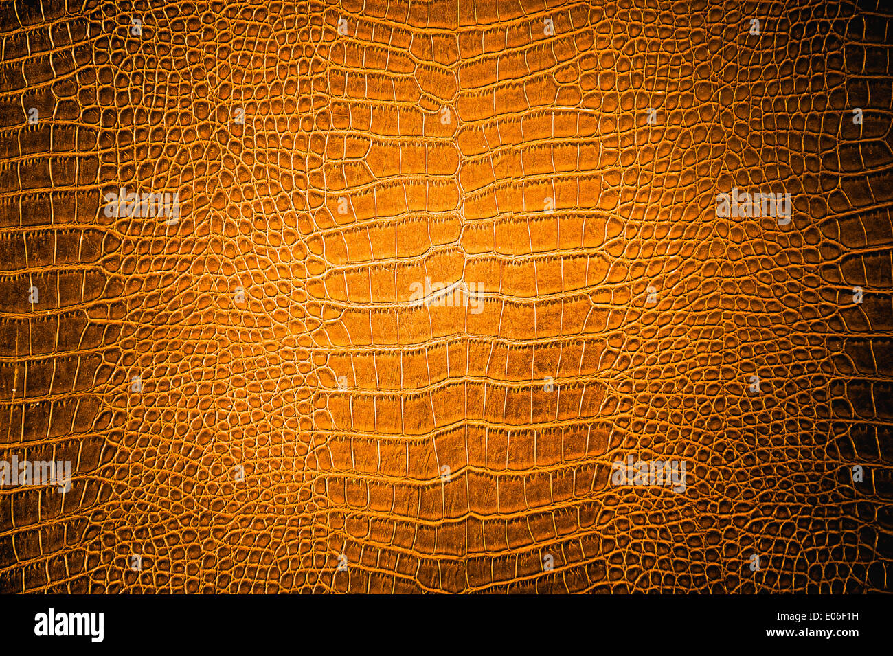 brown Crocodile leather, can use as background Stock Photo