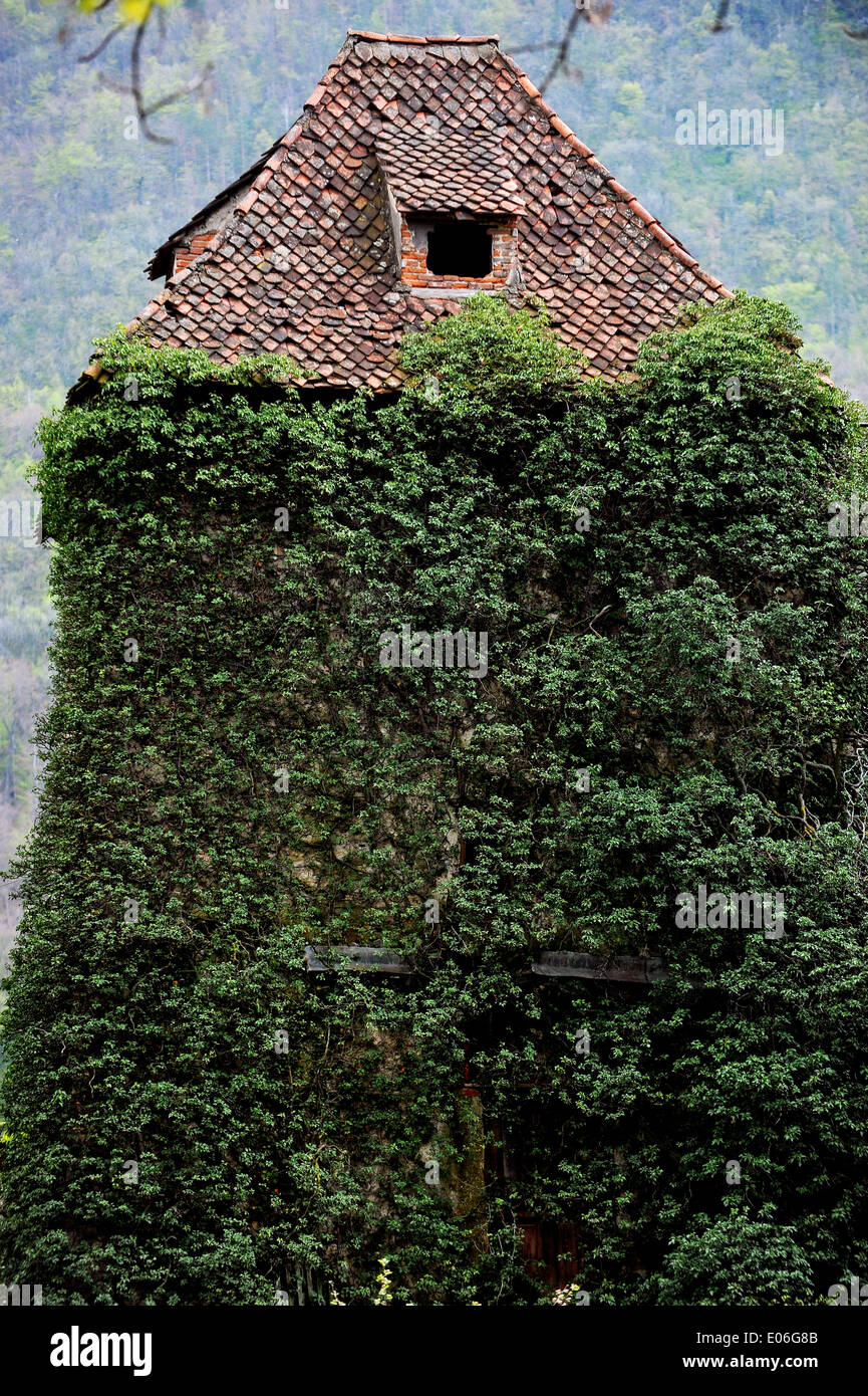 Abandoned old tower house with overgrown ivy Stock Photo