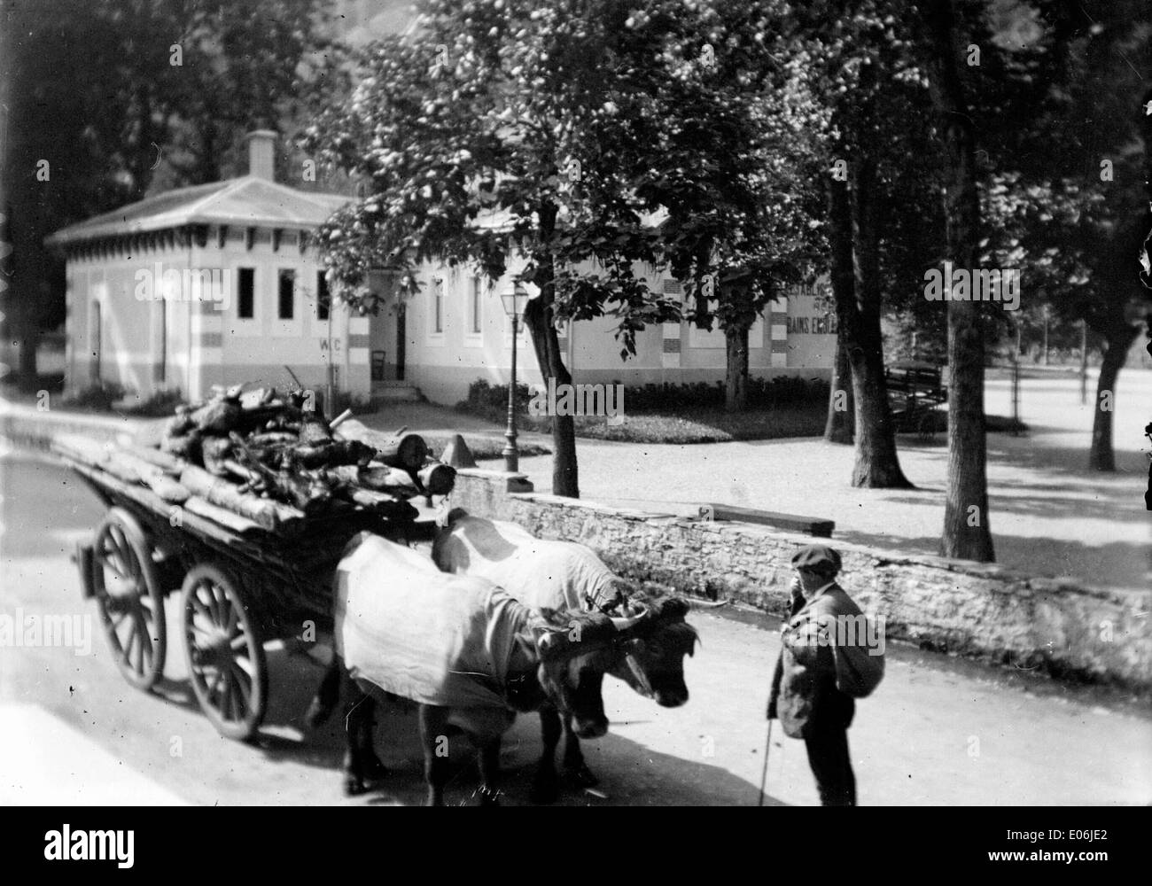 This black-and-white photograph shows a cart drawn by horses in Luchon, capturing a traditional rural scene. The image emphasizes the old-fashioned transport method used in the region. Stock Photo