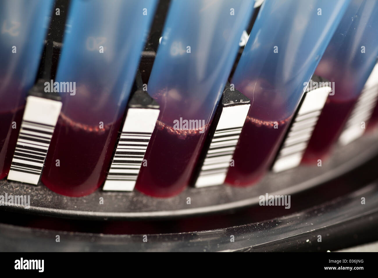 Blood sample in laboratory centrifuge close up Stock Photo Alamy