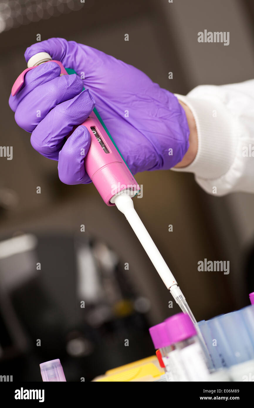 Pipetting preparation of biological sample Stock Photo Alamy