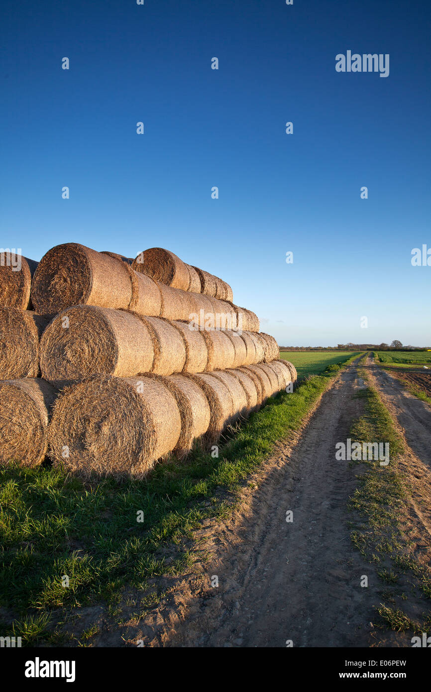 Stack of hay bales with a clear blue sky background Stock Photo - Alamy