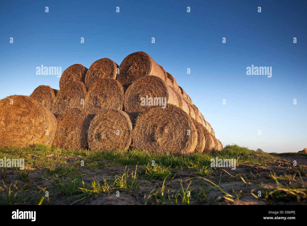 Stack of hay bales with a clear blue sky background Stock Photo - Alamy