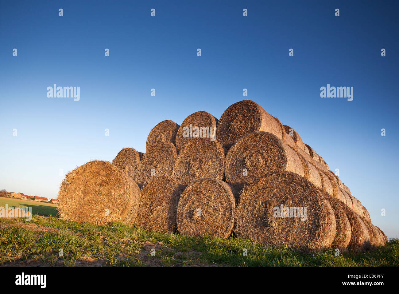Stack of hay bales with a clear blue sky background Stock Photo - Alamy