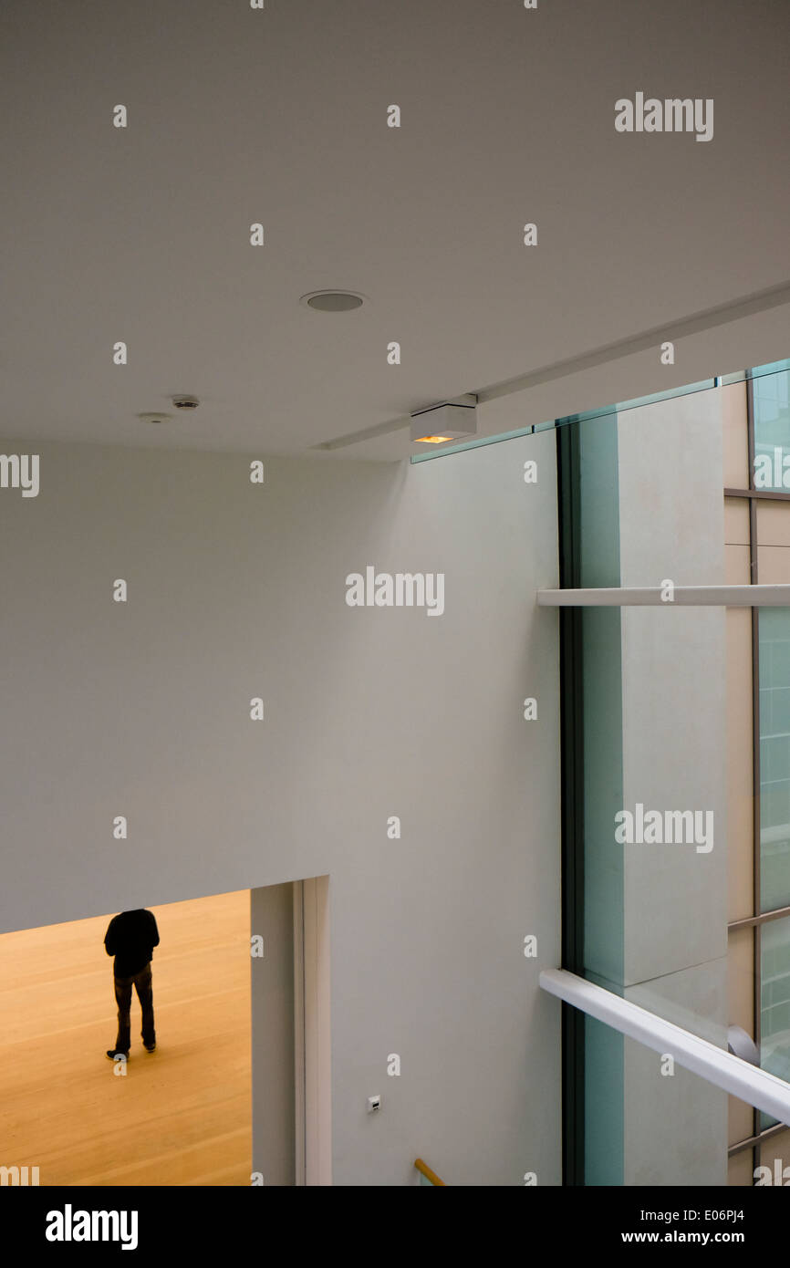 The Saatchi Gallery Stock Photo Alamy   The Saatchi Gallery E06PJ4 