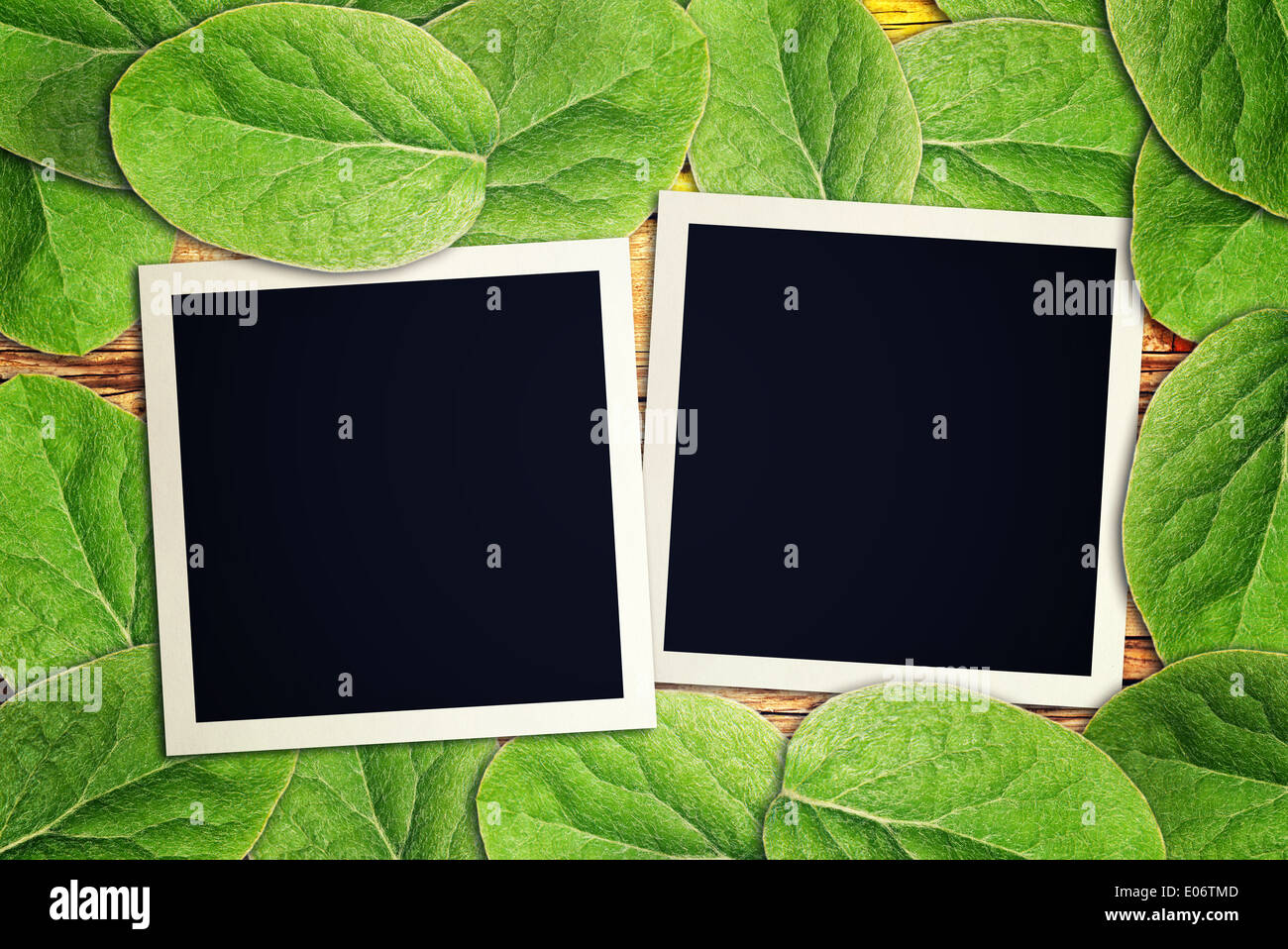 Blank vintage instant photo frames on wooden table covered with green leaves. Stock Photo