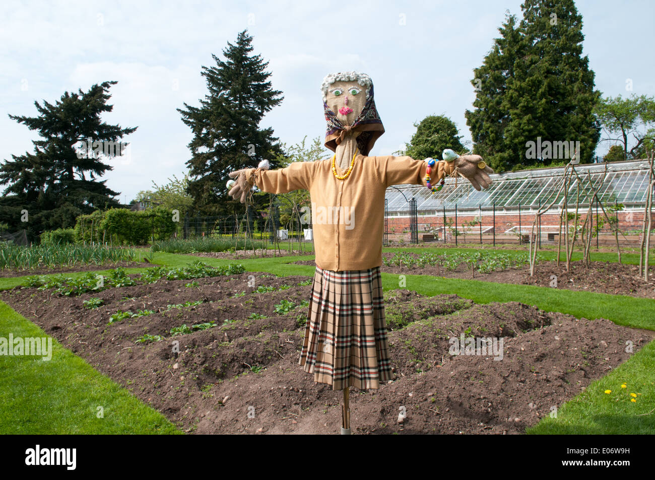 Cute old lady scarecrow wearing pearls, a head scarf and cardigan in the walled garden at National Trust house Wightwick Manor Stock Photo
