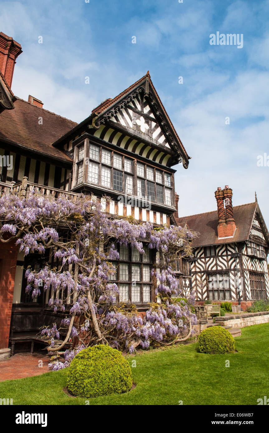 View of the National Trust-owned Wightwick Manor, in Wolverhampton, with beautiful flowering wisteria covering the West wing Stock Photo