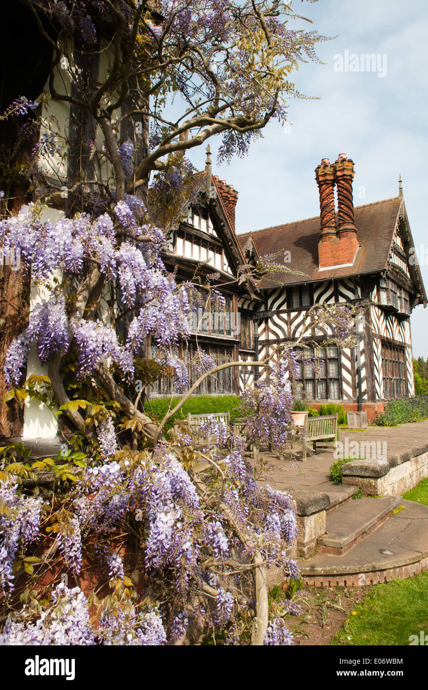 View of the National Trust-owned Wightwick Manor, in Wolverhampton, with beautiful flowering wisteria towards the East wing Stock Photo