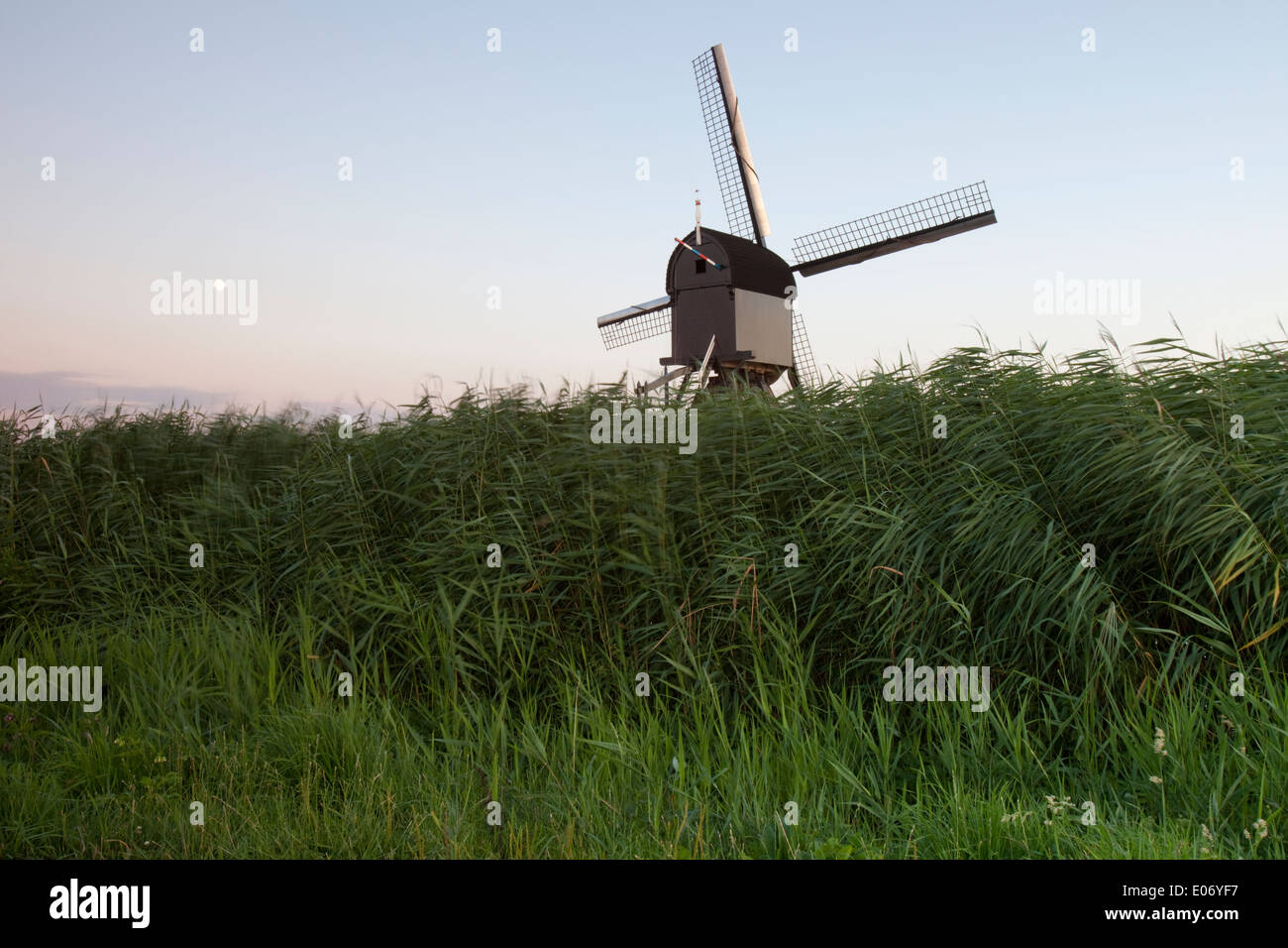 View of a windmill in the surrounding polders at sunset, Kinderdijk, Nieuw-Lekkerland, Holland. Stock Photo