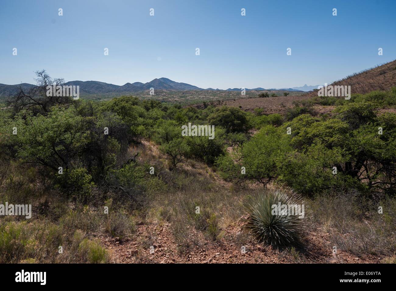 Arivaca Arizona Border High Resolution Stock Photography and Images Alamy