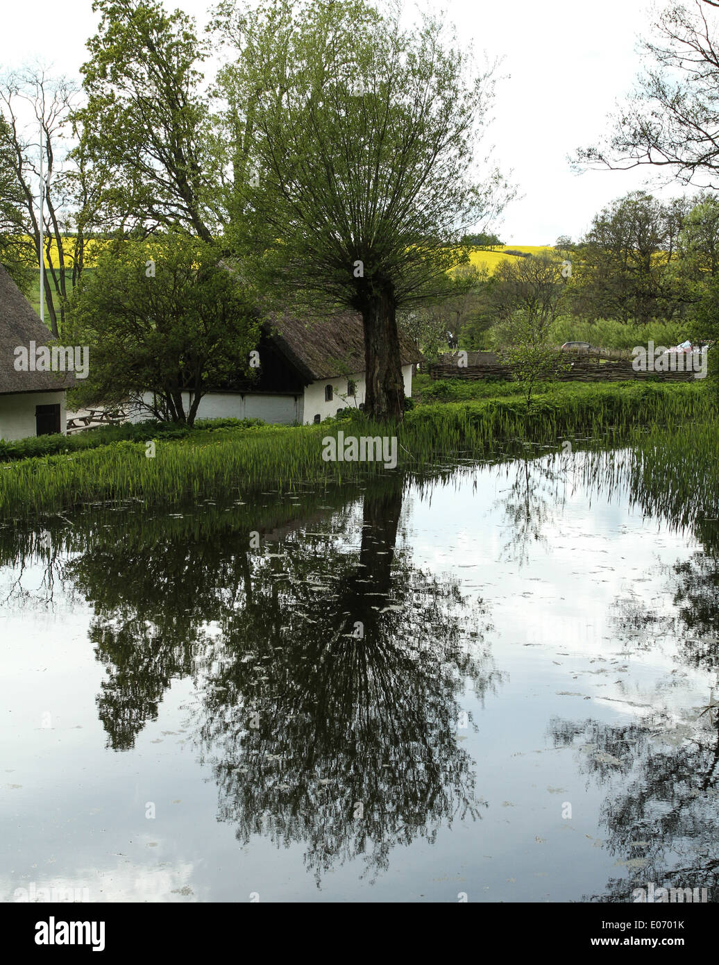 Old farm house with tree reflected in pond Stock Photo
