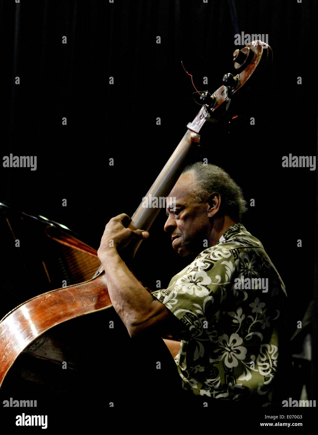 Cecil McBee at Summer Jazz 2013 in Copenhagen, Denmark Stock Photo - Alamy Cecil McBee at Summer Jazz 2013 in Copenhagen, Denmark Stock Photo - Alamy