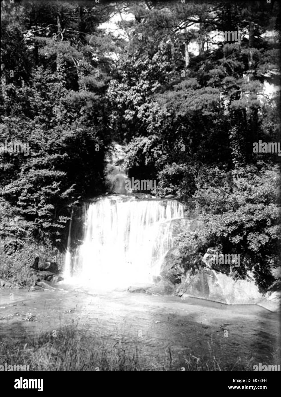 Cascade dans la foret hi-res stock photography and images - Alamy